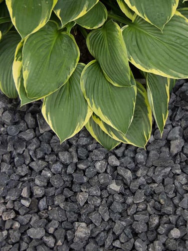 Basalt split 8 - 16mm aangelegd