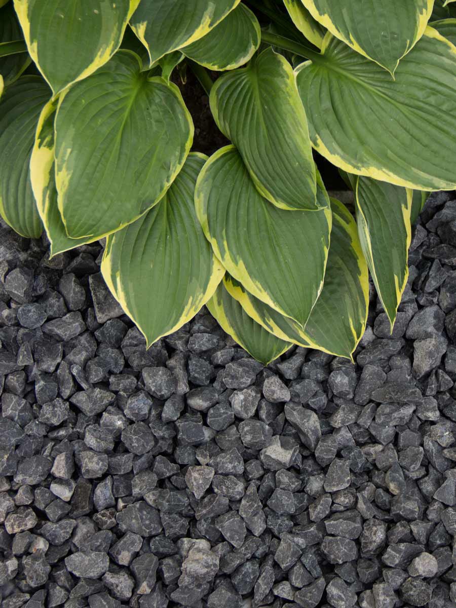 Basalt split 8 - 16mm aangelegd