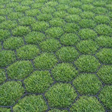 Easygravel 3XL grasplaat zwart 