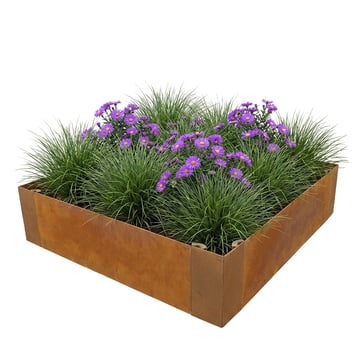 Multi-Edge ADVANCE Corten staal Borderbak 60x60x20cm aangelegd
