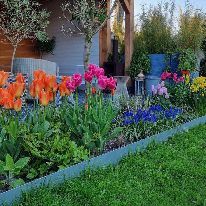 Multi-Edge ADVANCE Verzinkt aangelegd Multi-Edge ADVANCE Verzinkt aangelegd