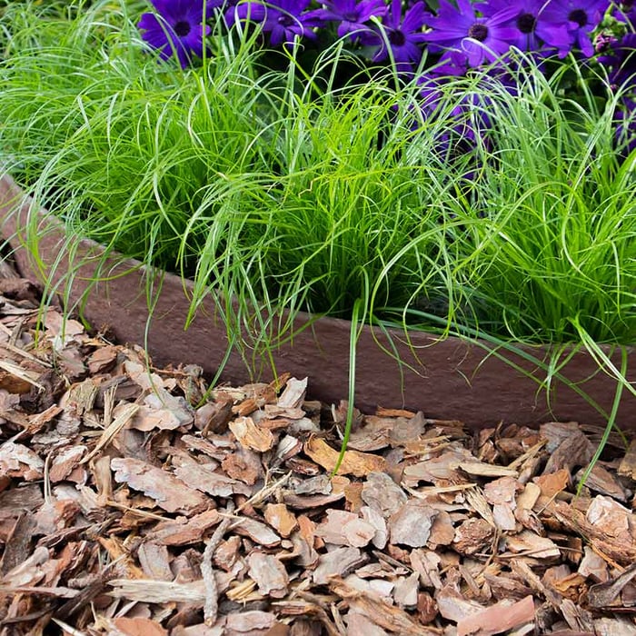 Multi-Edge ECO-Bruin - Corten-Rol-14 cm-10 meter aangelegd